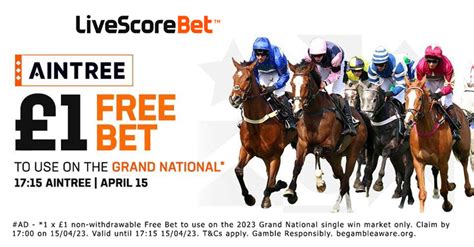types of bets grand national|How To Bet On The Grand National 2023 .